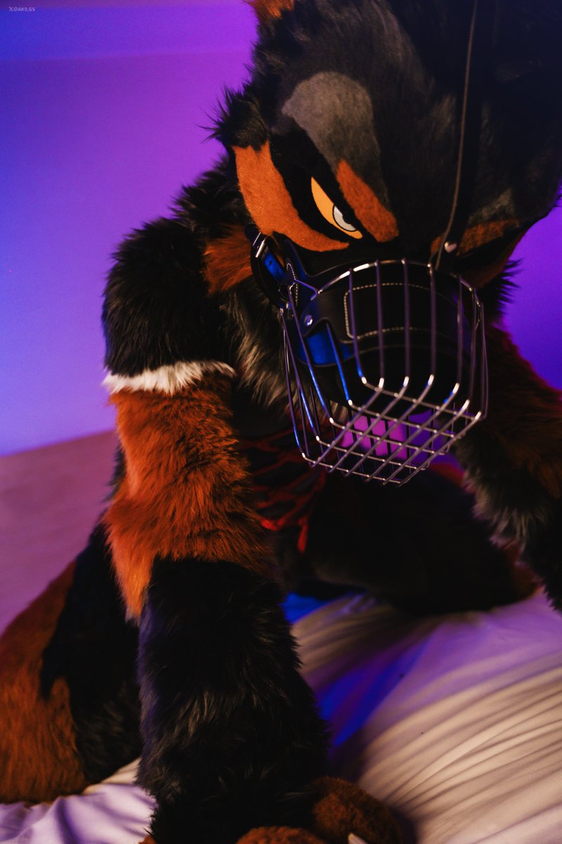 AK-9🚨 tweet media