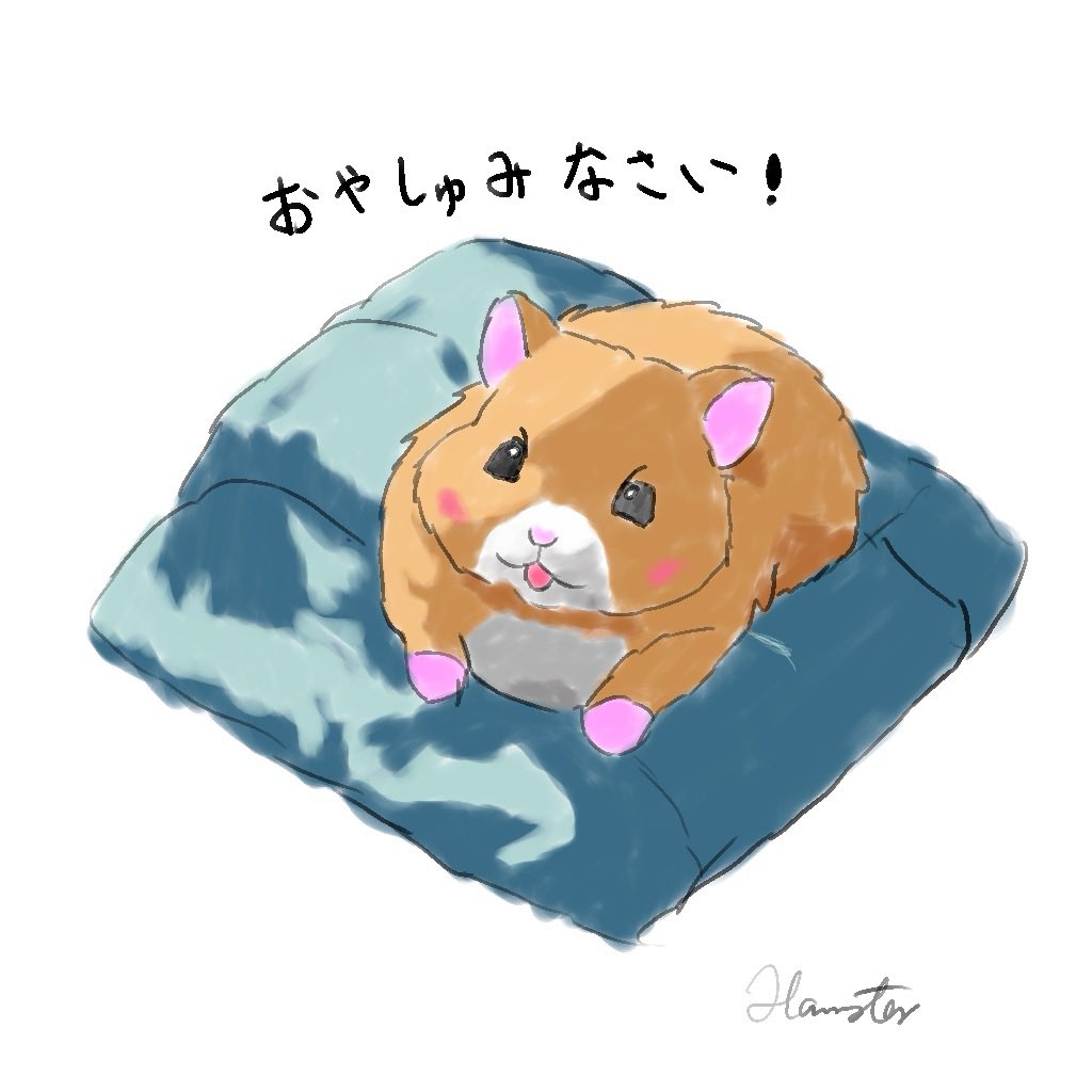 ハムスター🐹: Hamster🐹 tweet media
