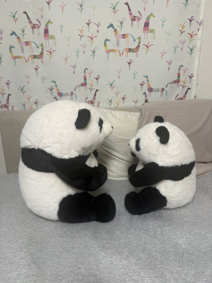 ハムスター🐹: Hamster🐹 tweet media