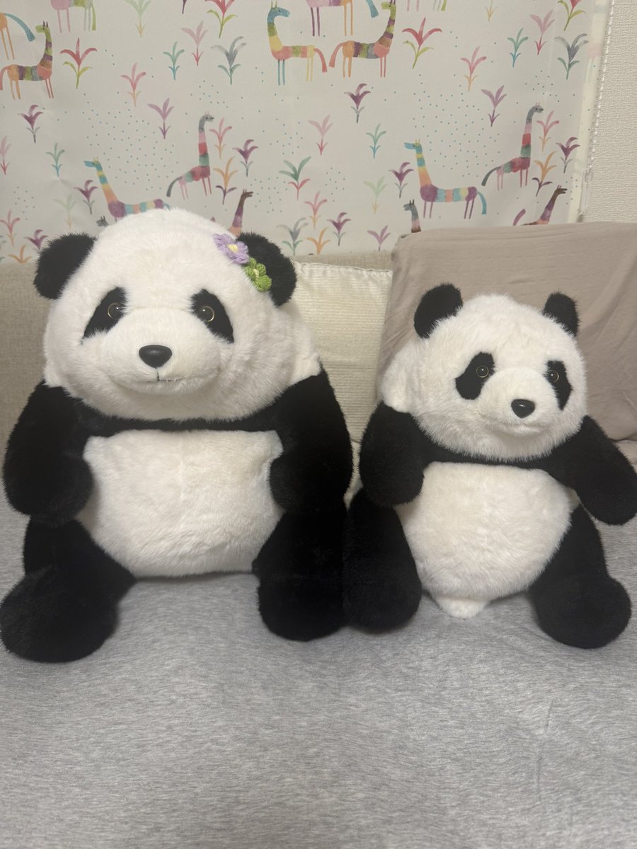 ハムスター🐹: Hamster🐹 tweet media