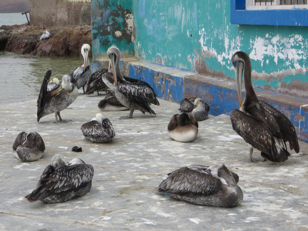 Carly | Fearless Female Travels tweet media