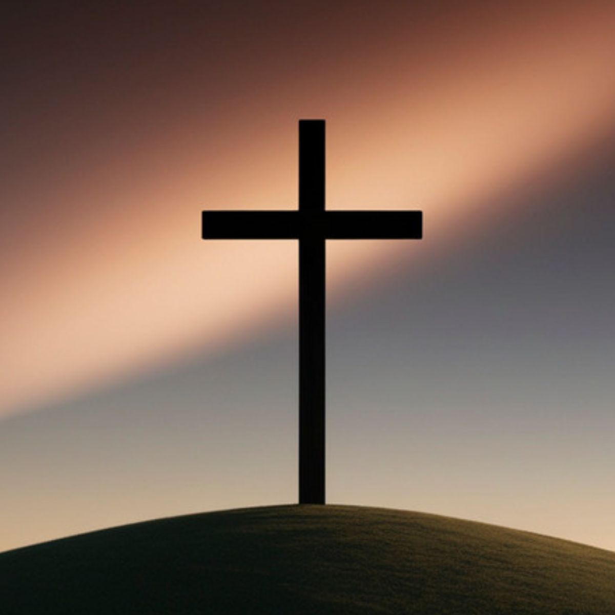 Maree Dee tweet media