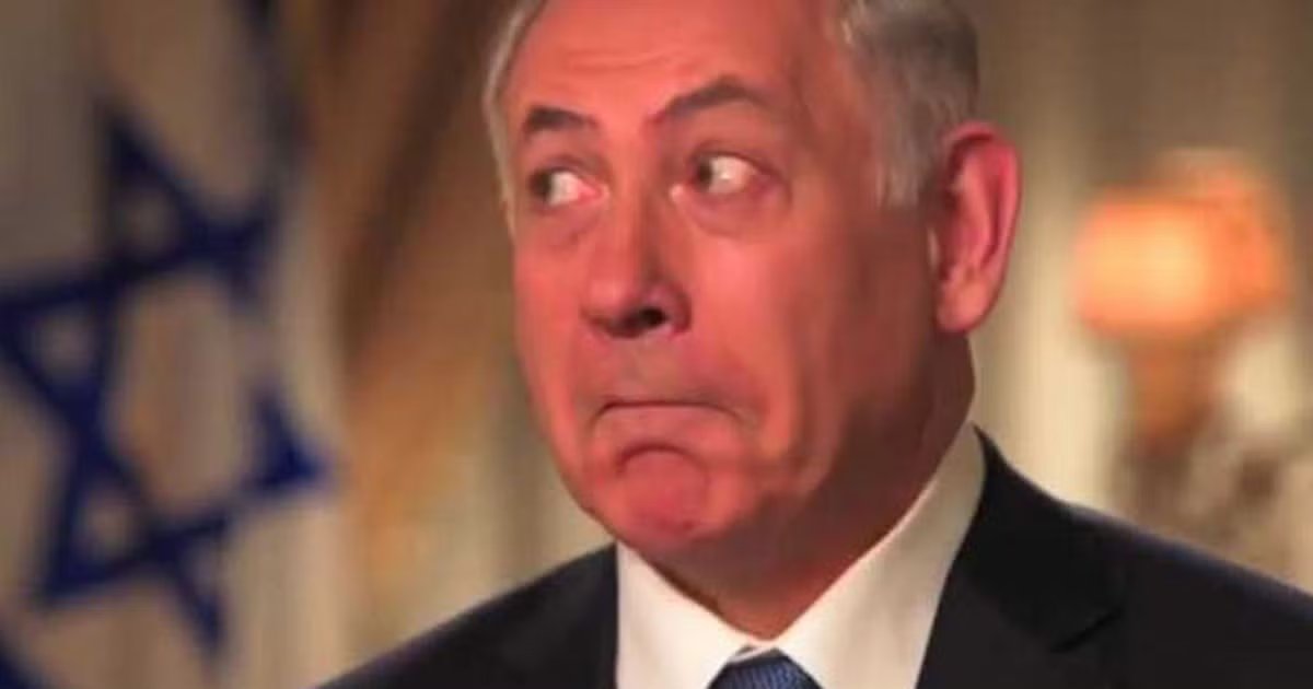 old lazy dev tweet media