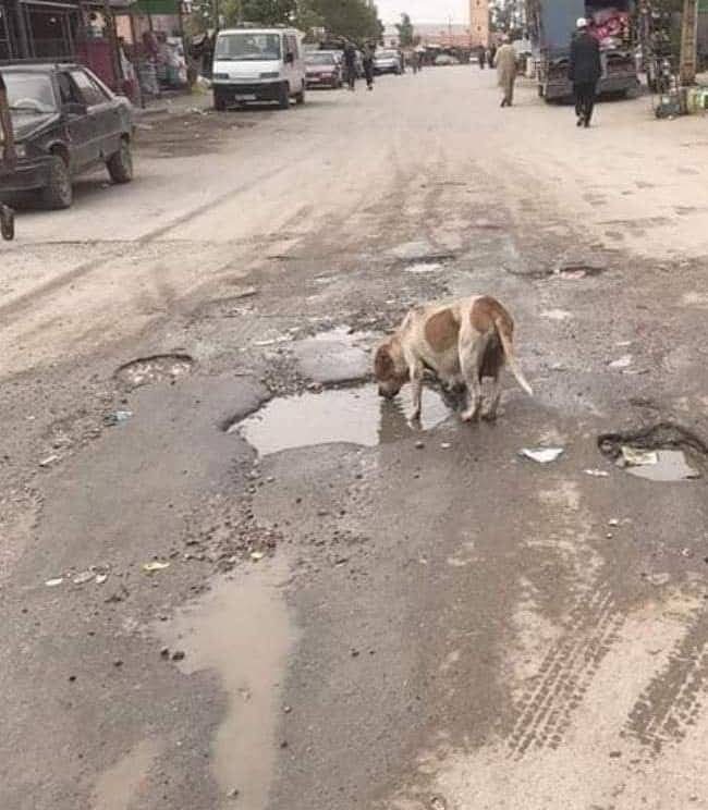 فهيم درهم tweet media