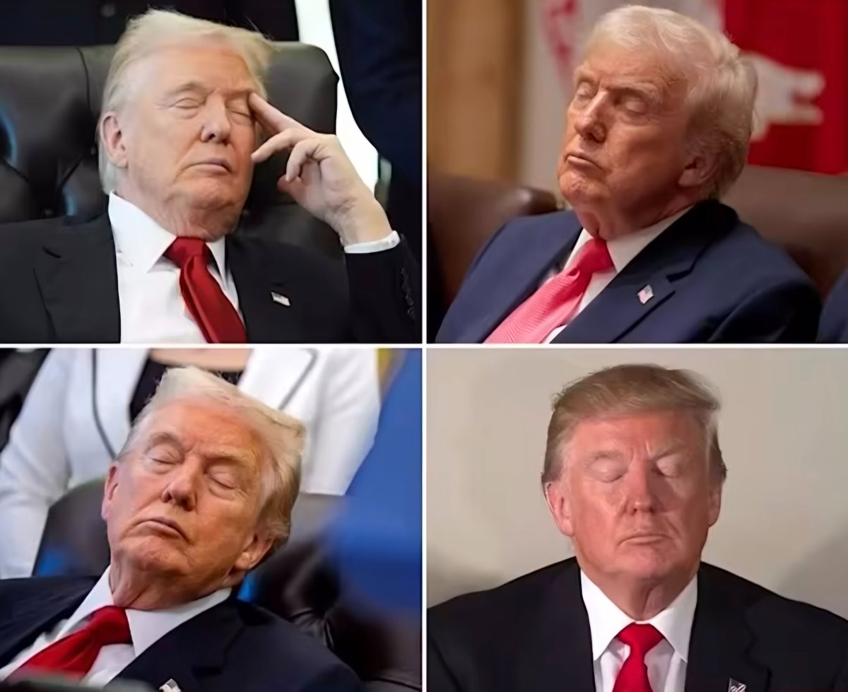 GmitU - Gott mit Uns tweet media