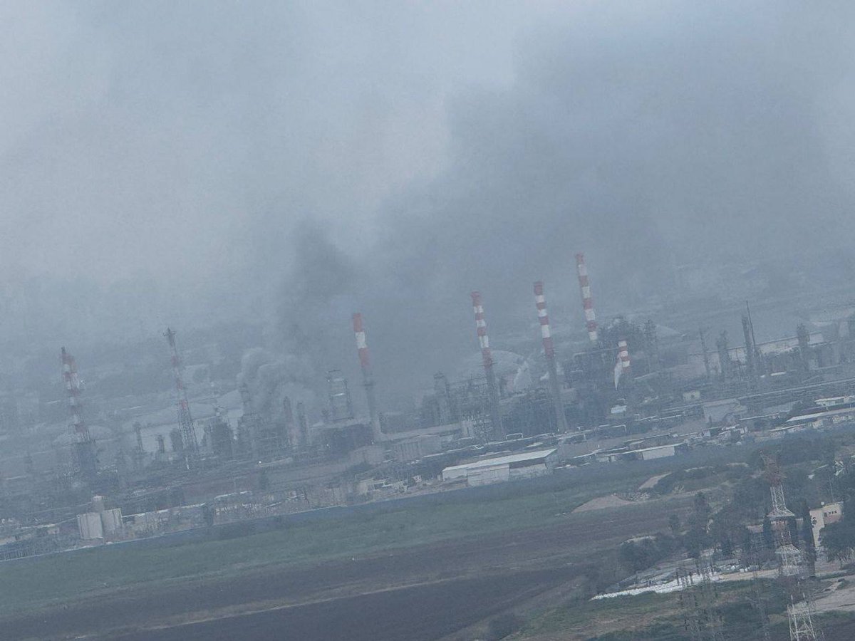 Middle East Observer tweet media