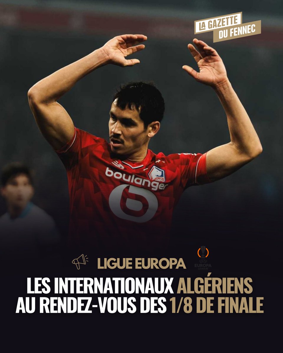 La Gazette du Fennec tweet media