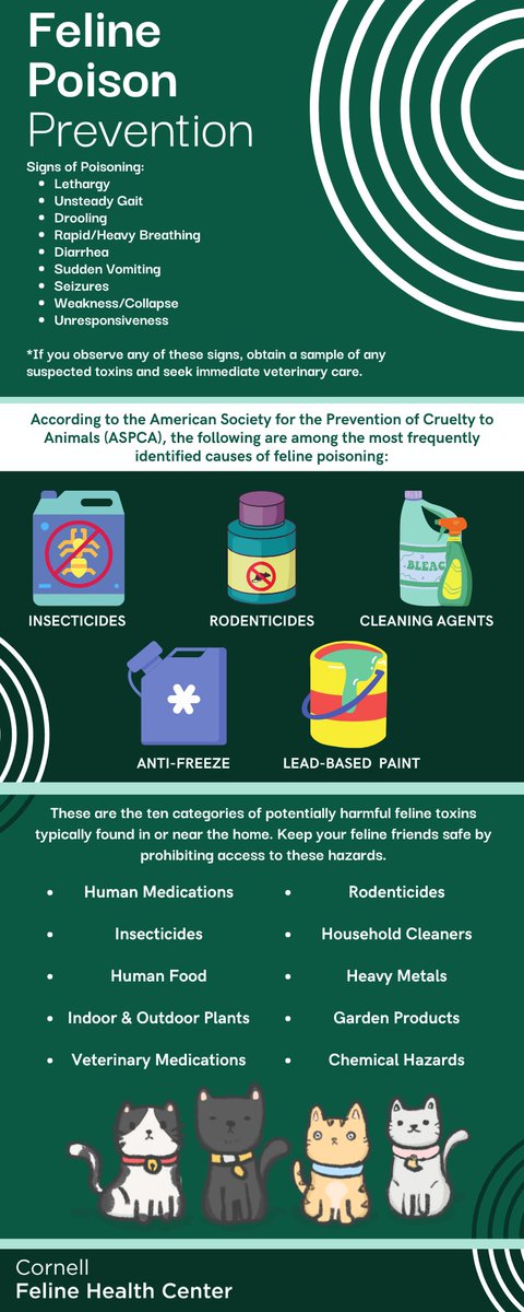 Cornell Feline Health Center tweet media