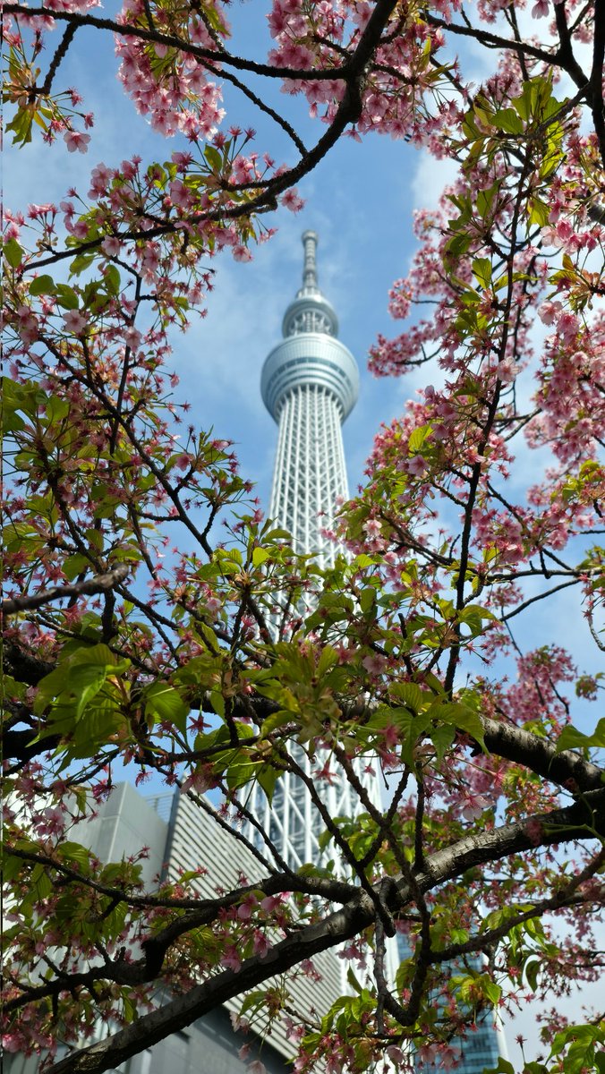 TY-やがみ？//香港の一味ドンだー//最推し 🏴‍☠️⚓ tweet media