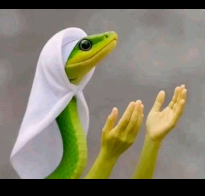 puregold tweet media