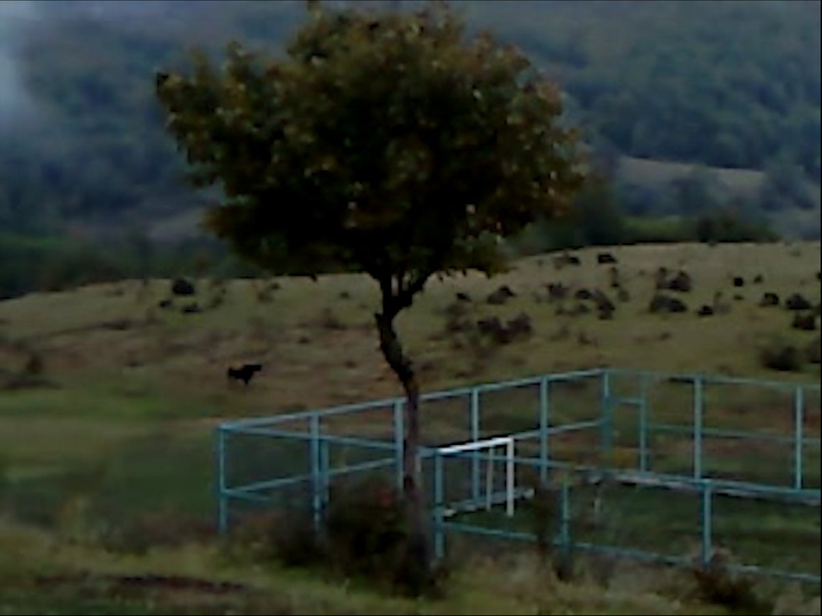 Notebook tweet media