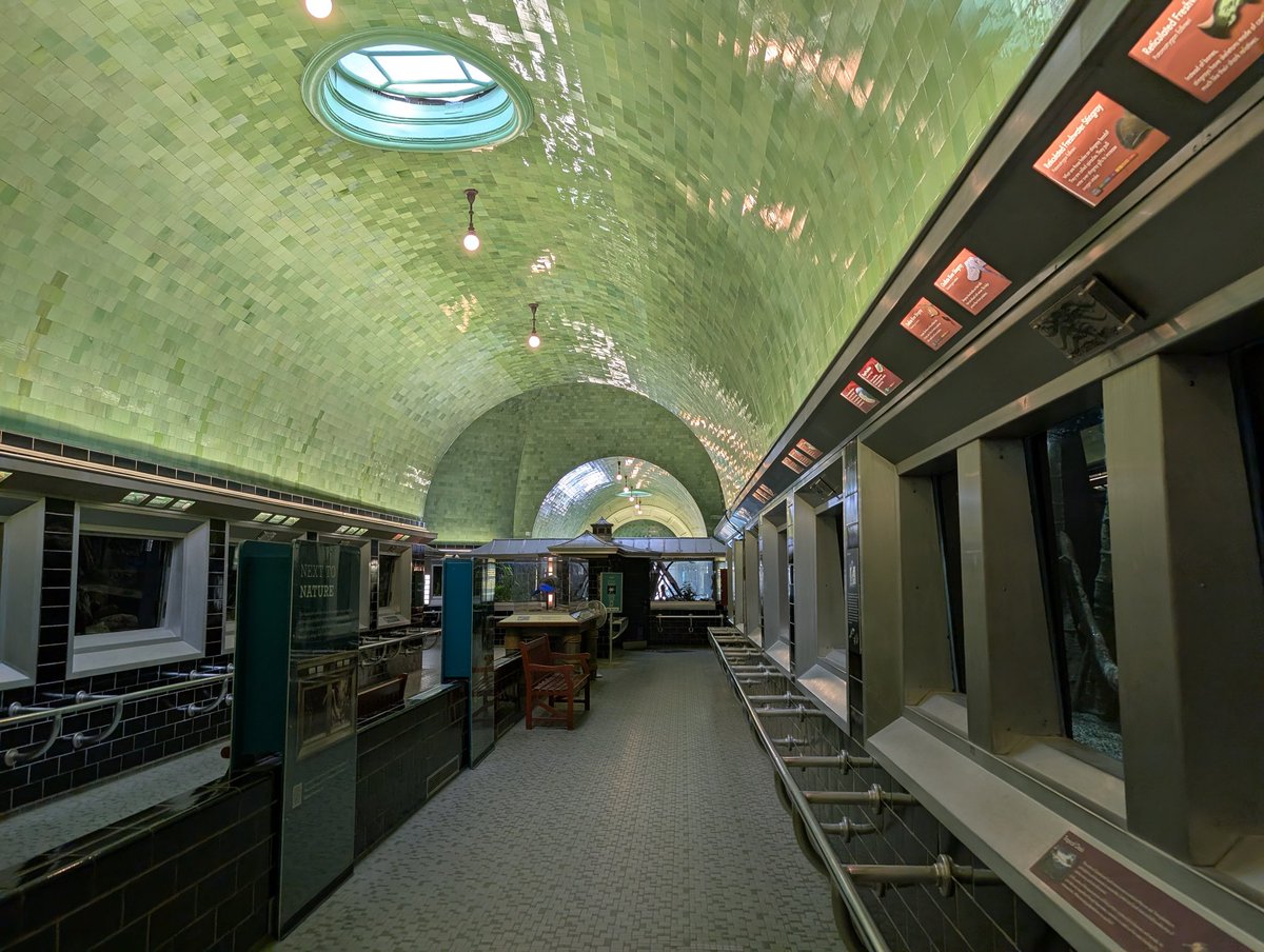 Simp For Sowell tweet media