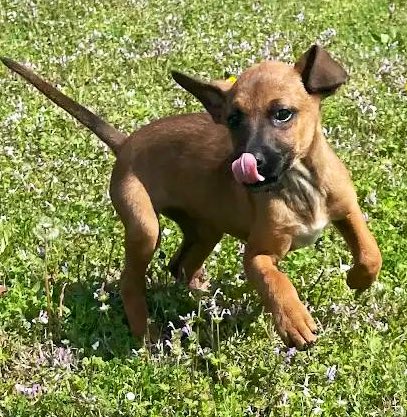 Donna Lac tweet media