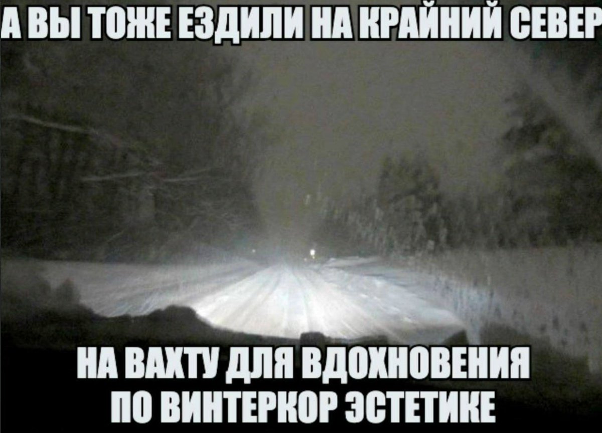 Спихопат с электрогитарой🐍 tweet media