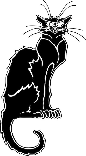 Tim Paulsen tweet media