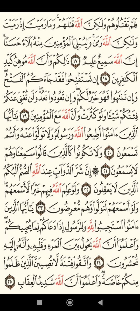 Mahmoud Sardauna | Aptos Educator tweet media