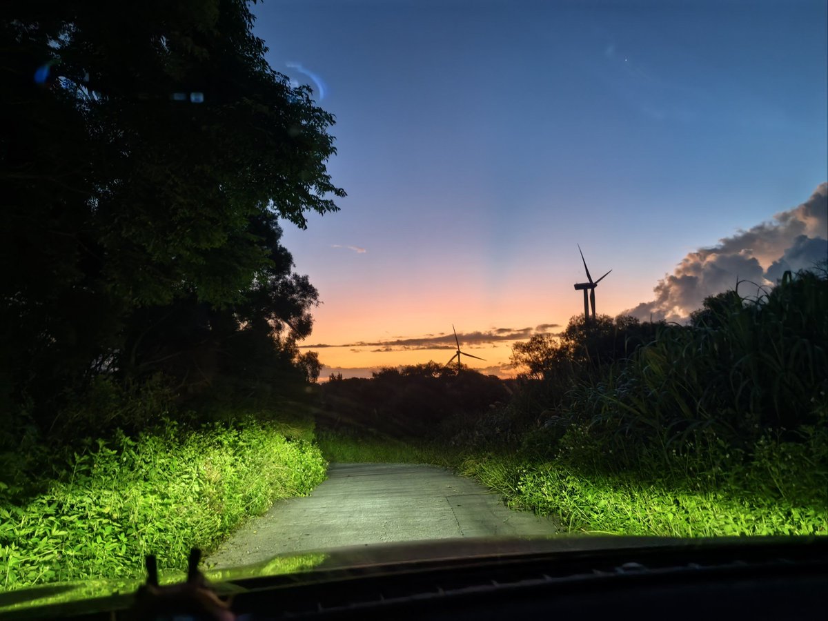 Ксения Азниева tweet media