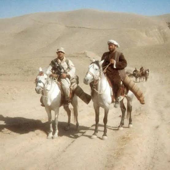 Americana Pipedream Apparel tweet media