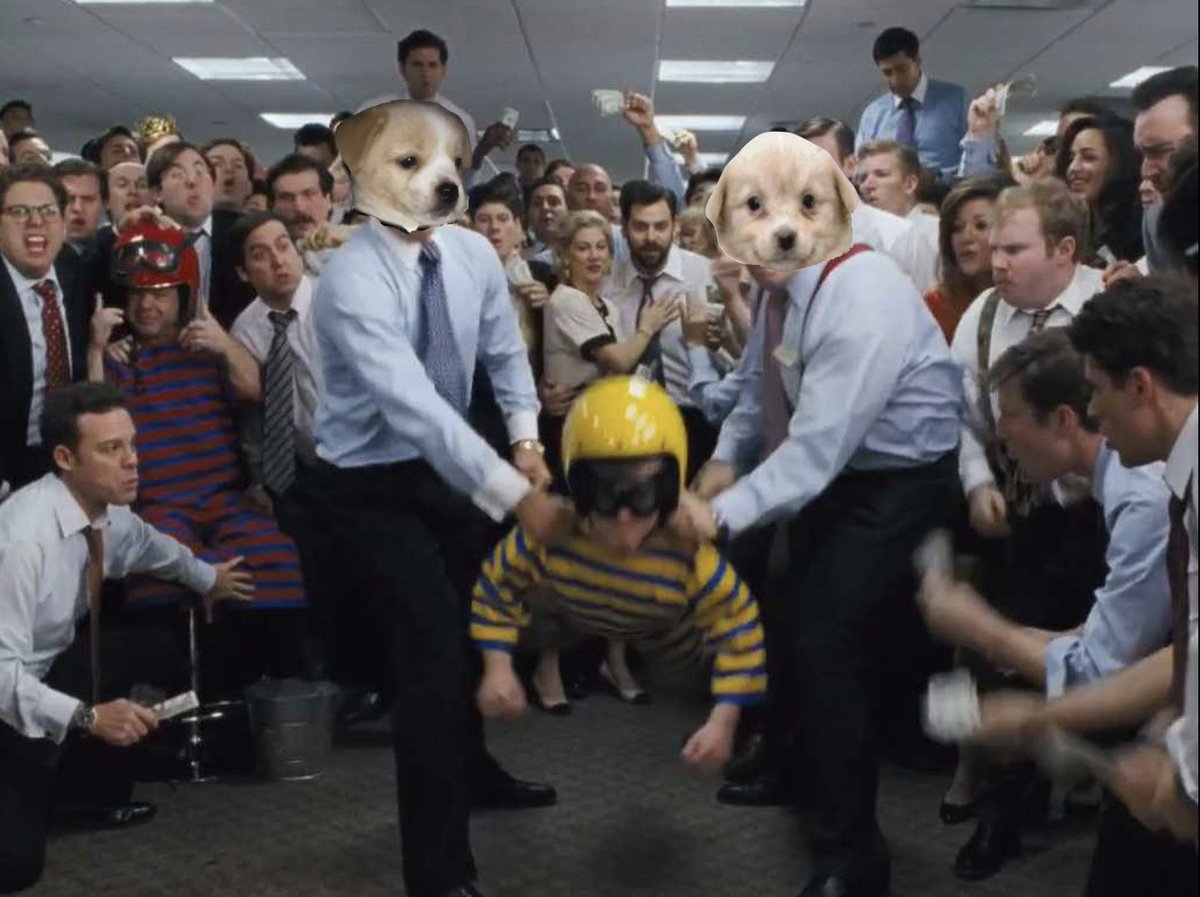 El Doggy tweet media