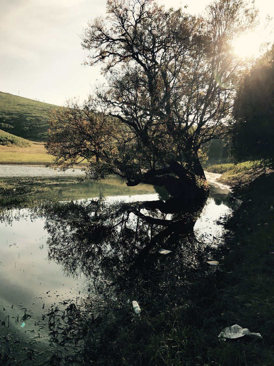 uncharged lepton tweet media