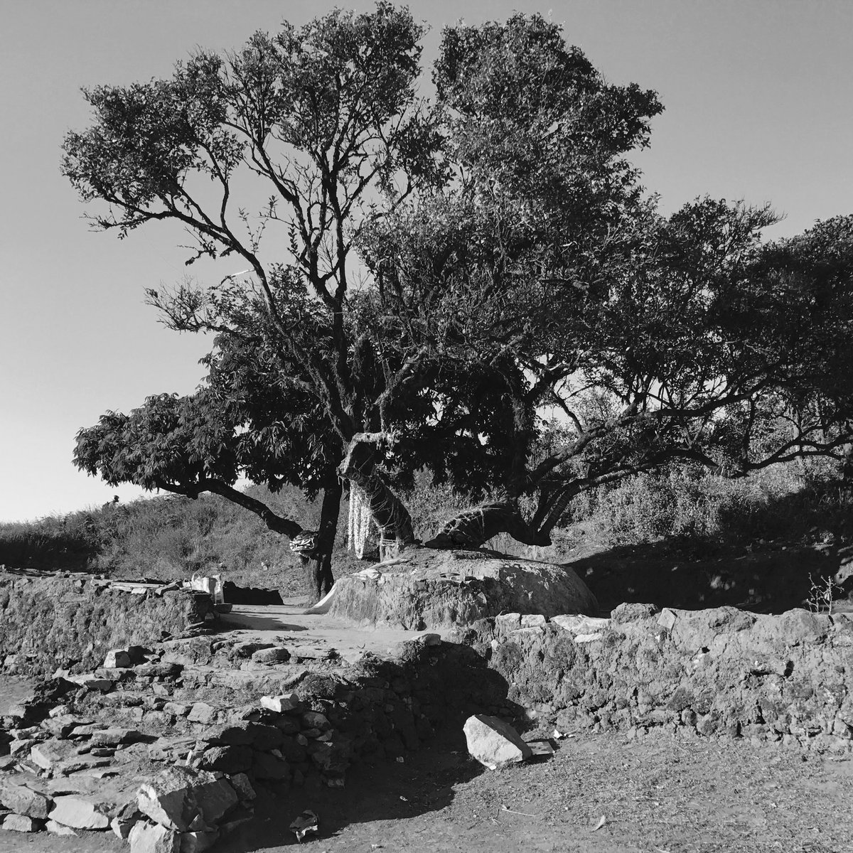 uncharged lepton tweet media