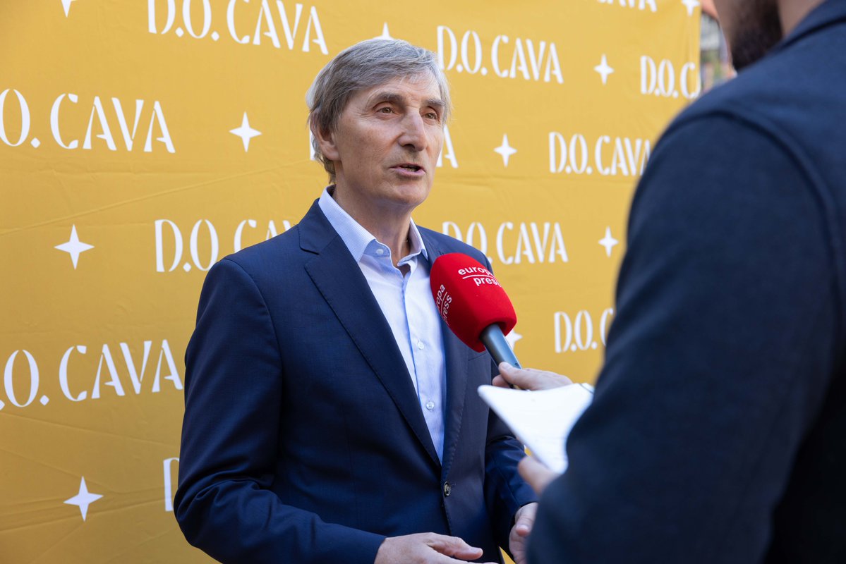 D.O. Cava tweet media