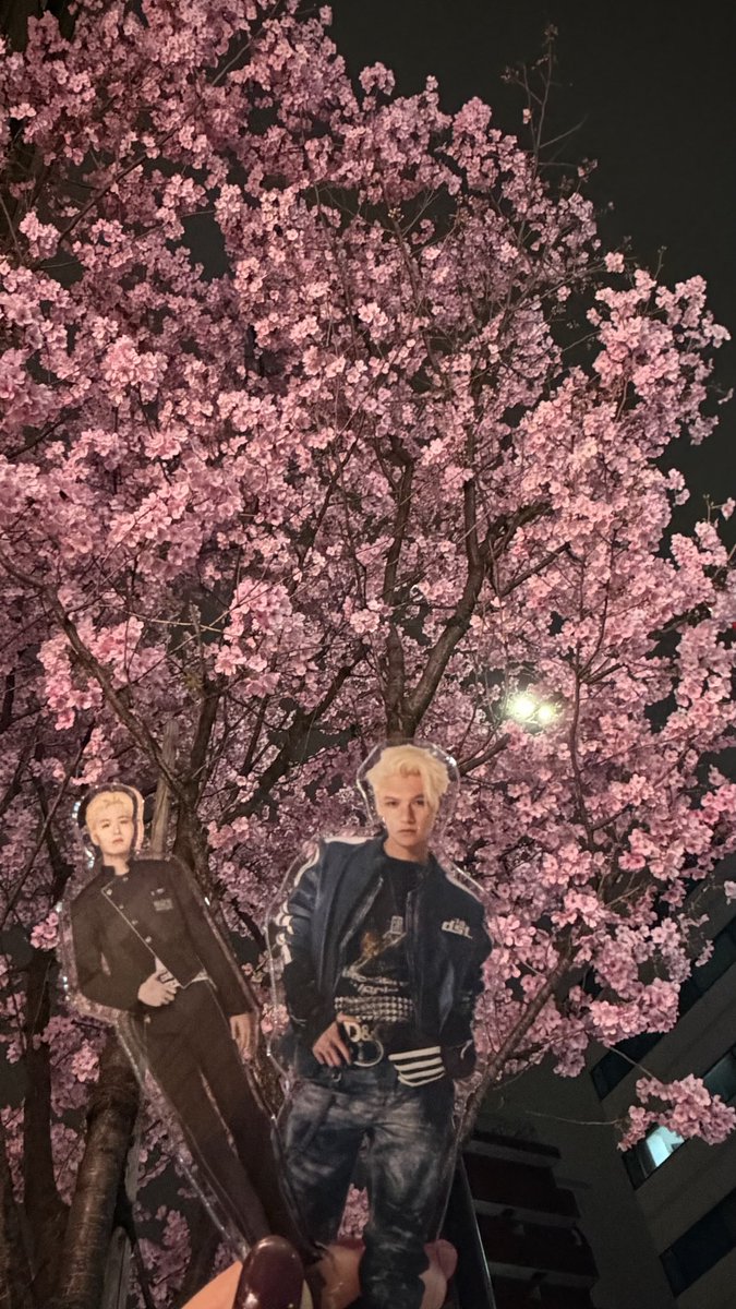 こうめ tweet media