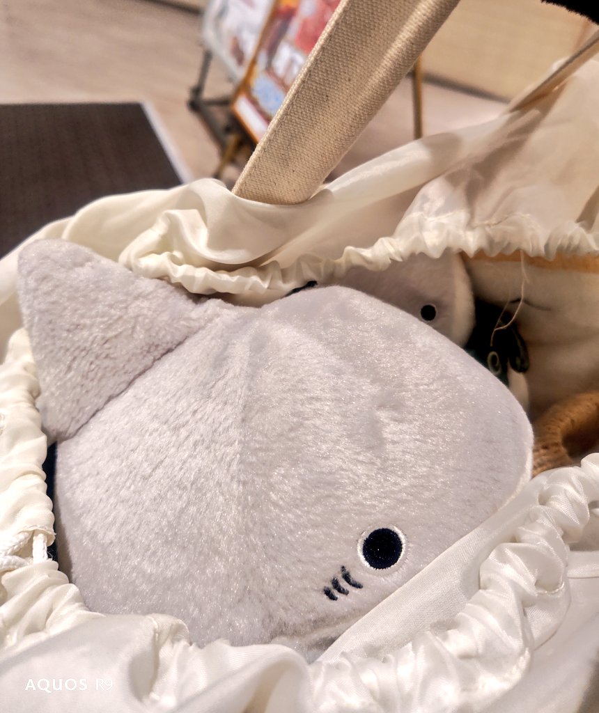 かわさきみどり tweet media