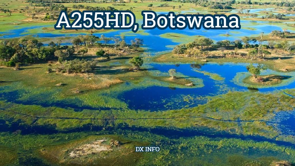 ๐๐ซ ๐๐ก๐๐ข tweet media