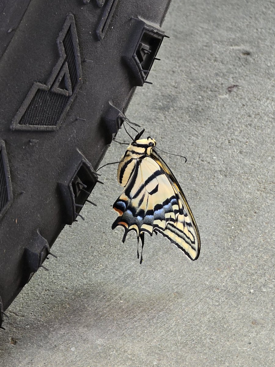 Sam 💣 tweet media