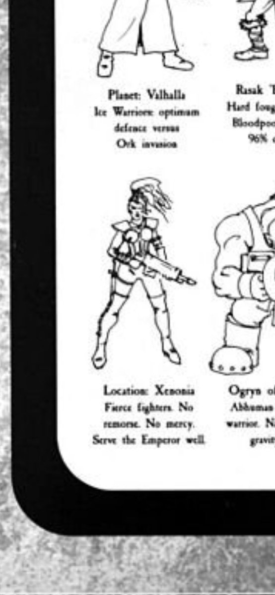 Sebastnyana 😺⚜️✨️ / Magical Catgirl VTuber tweet media