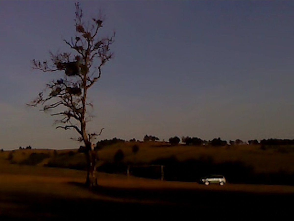 Notebook tweet media