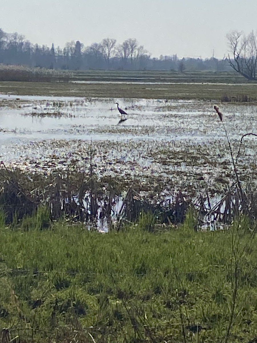 Jeannine D'hondt tweet media