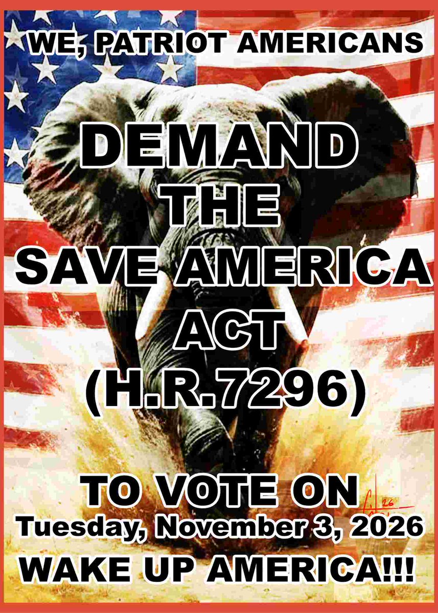 FREEDOM FIGHTER tweet media