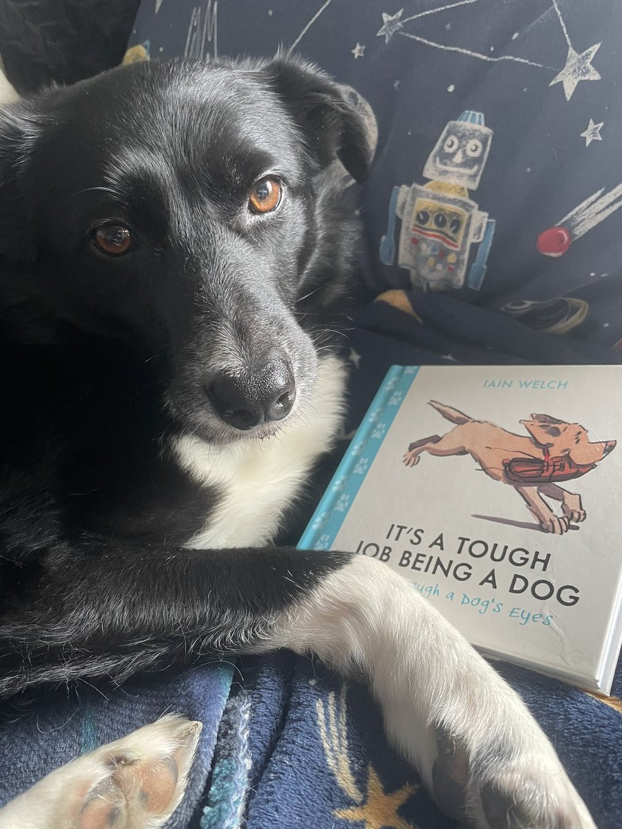 What Pippa Did Next tweet media