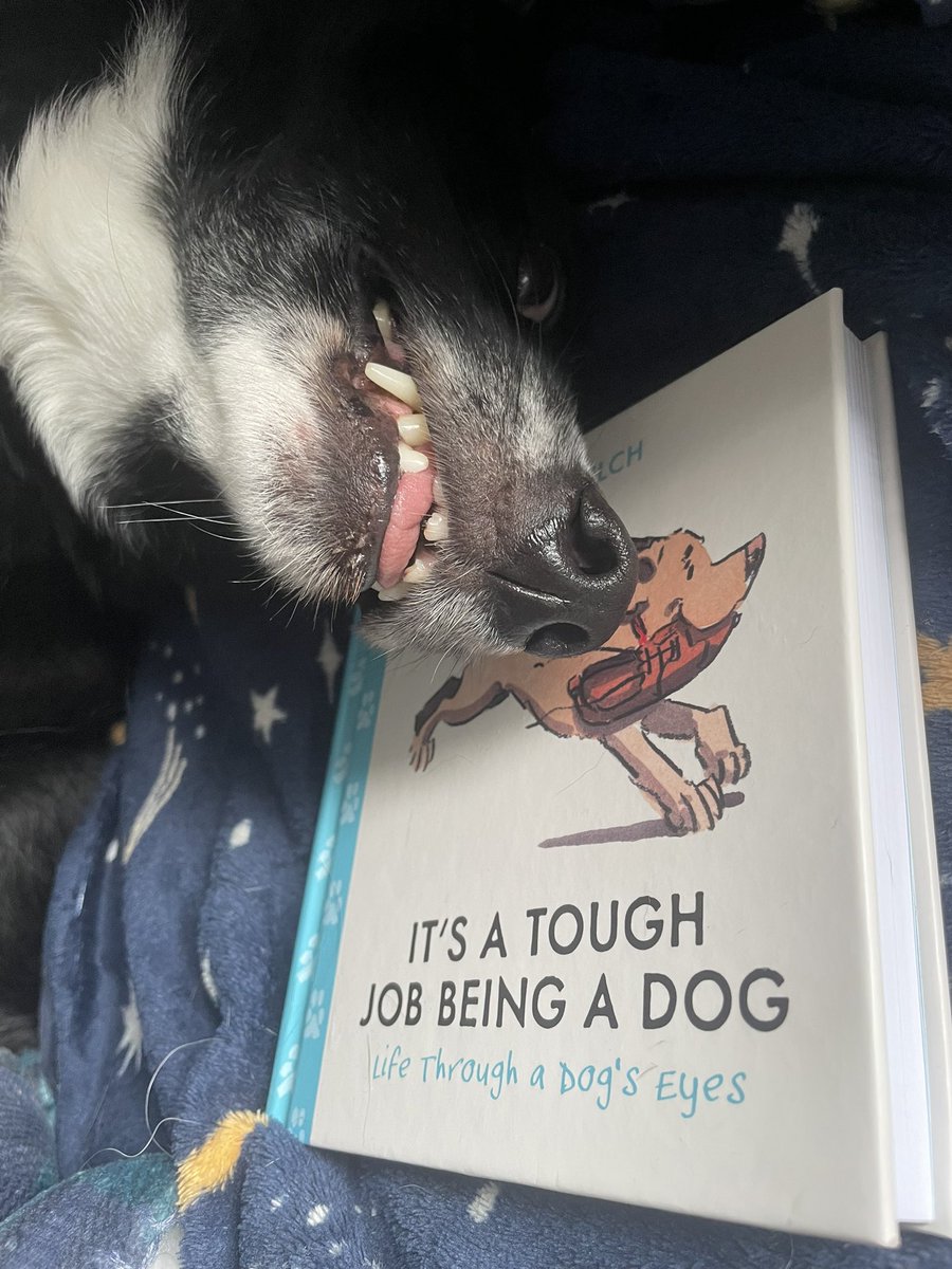 What Pippa Did Next tweet media