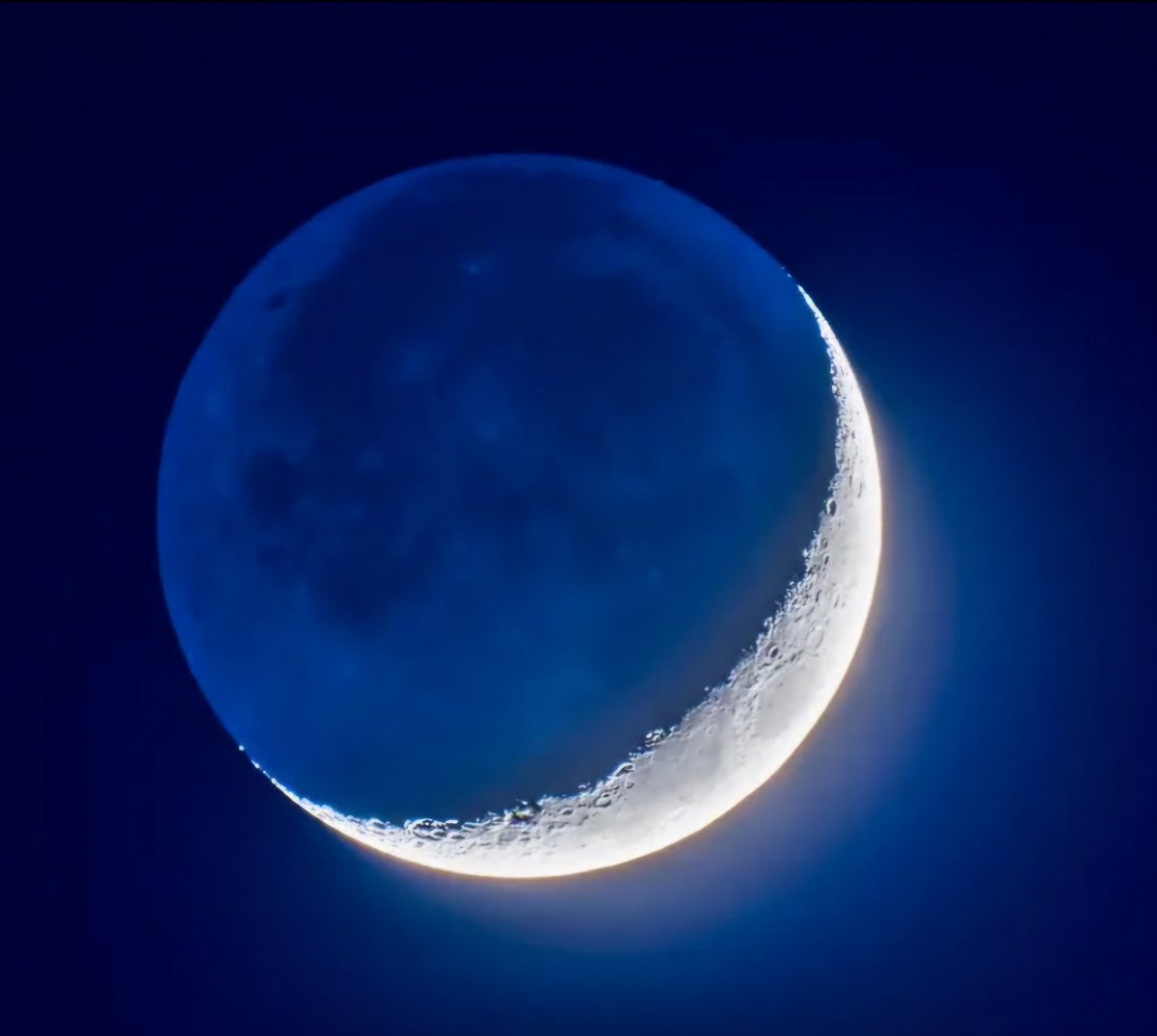 Trevor Long tweet media