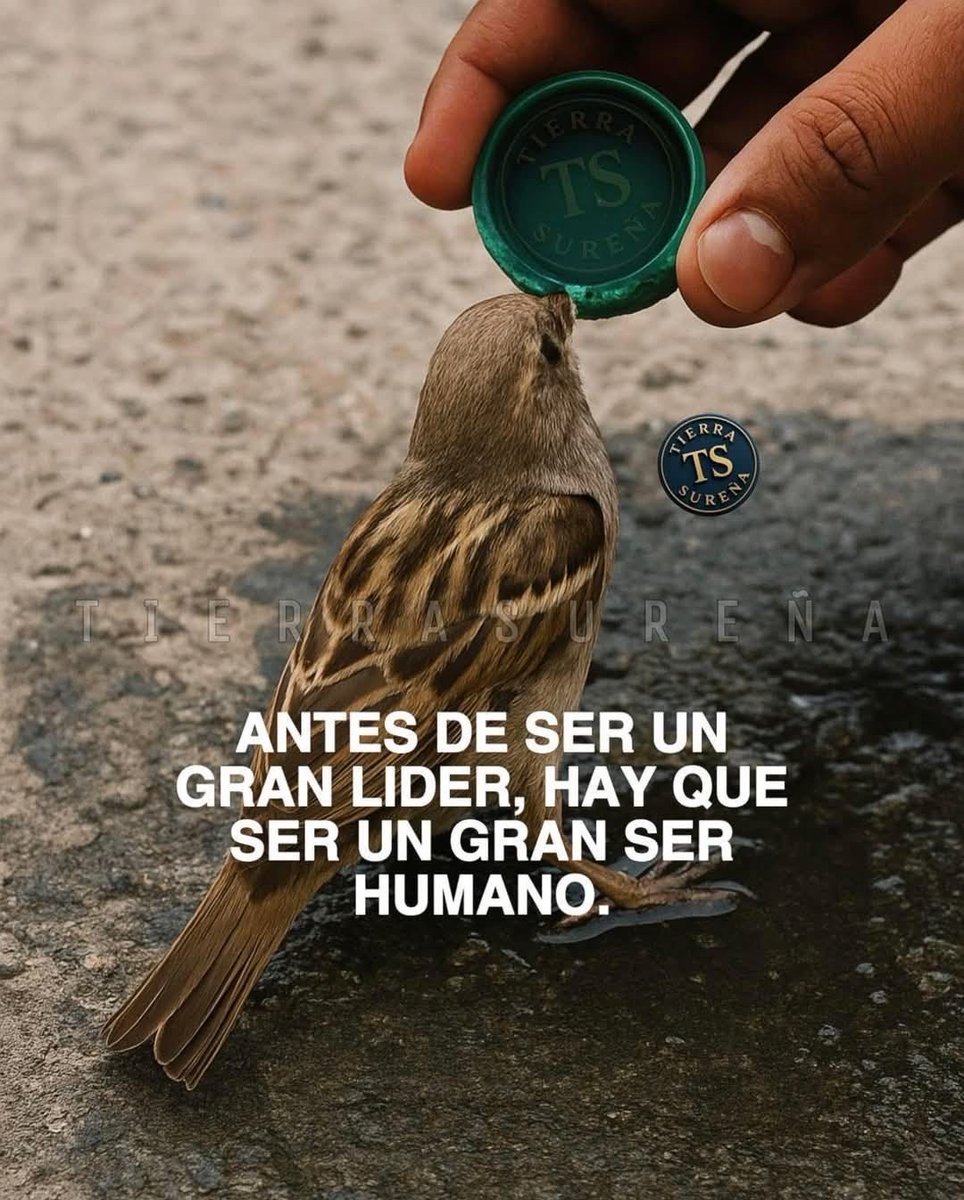 𝓛𝓸𝓷𝓮 🐺 𝓦𝓸𝓵𝓯 𝓐𝓵𝓹𝓱𝓪 ⚡ tweet media