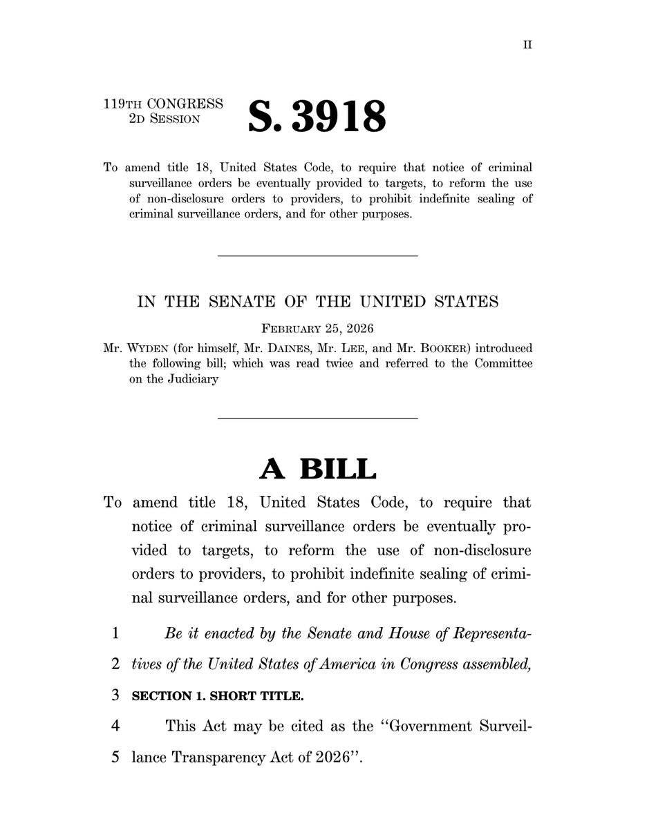 Breanna Morello tweet media