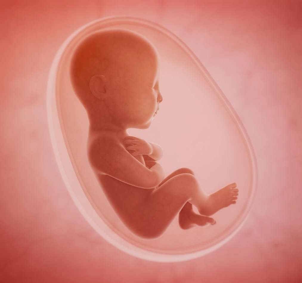 Mario ZNA tweet media