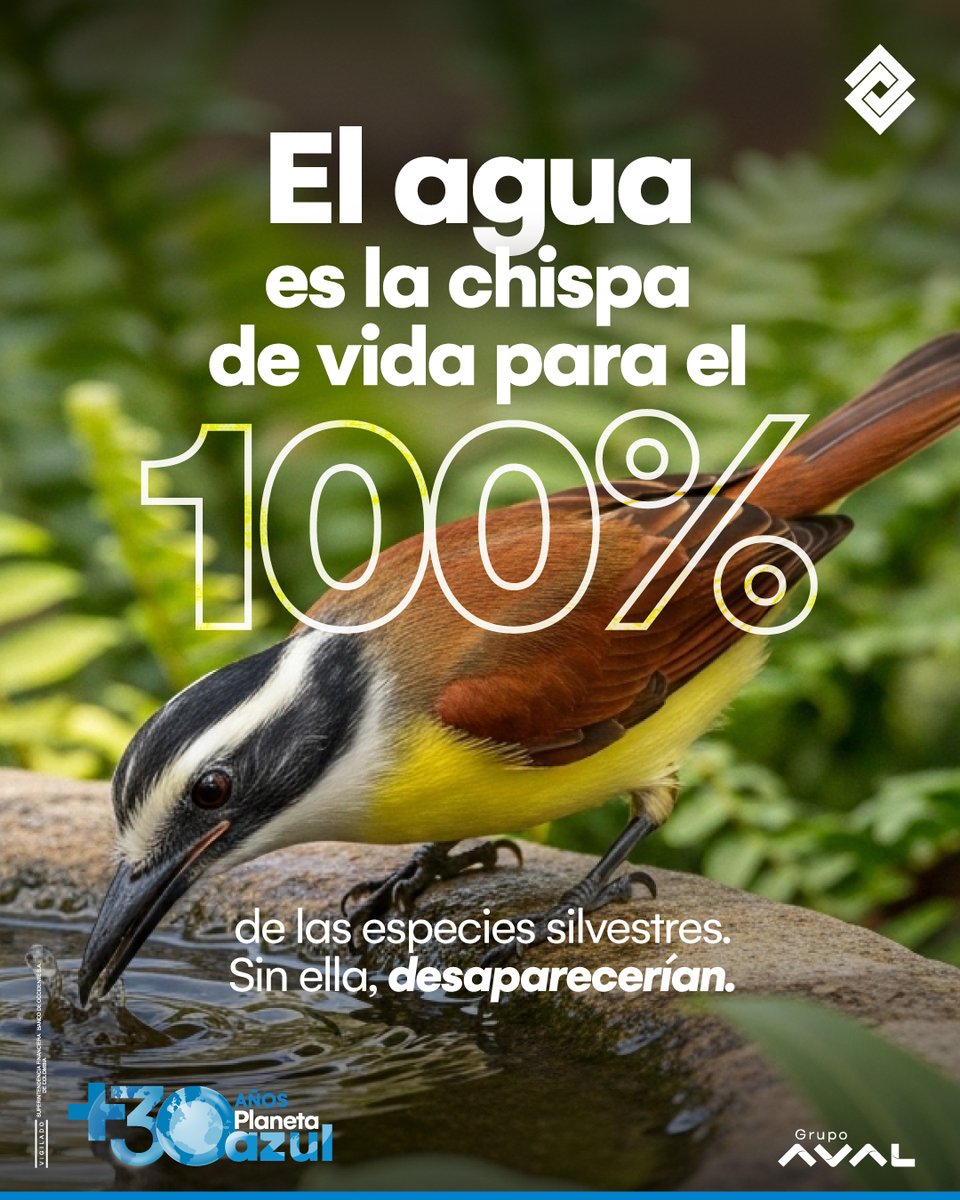 ComunidadPlanetaAzul BdeO tweet media