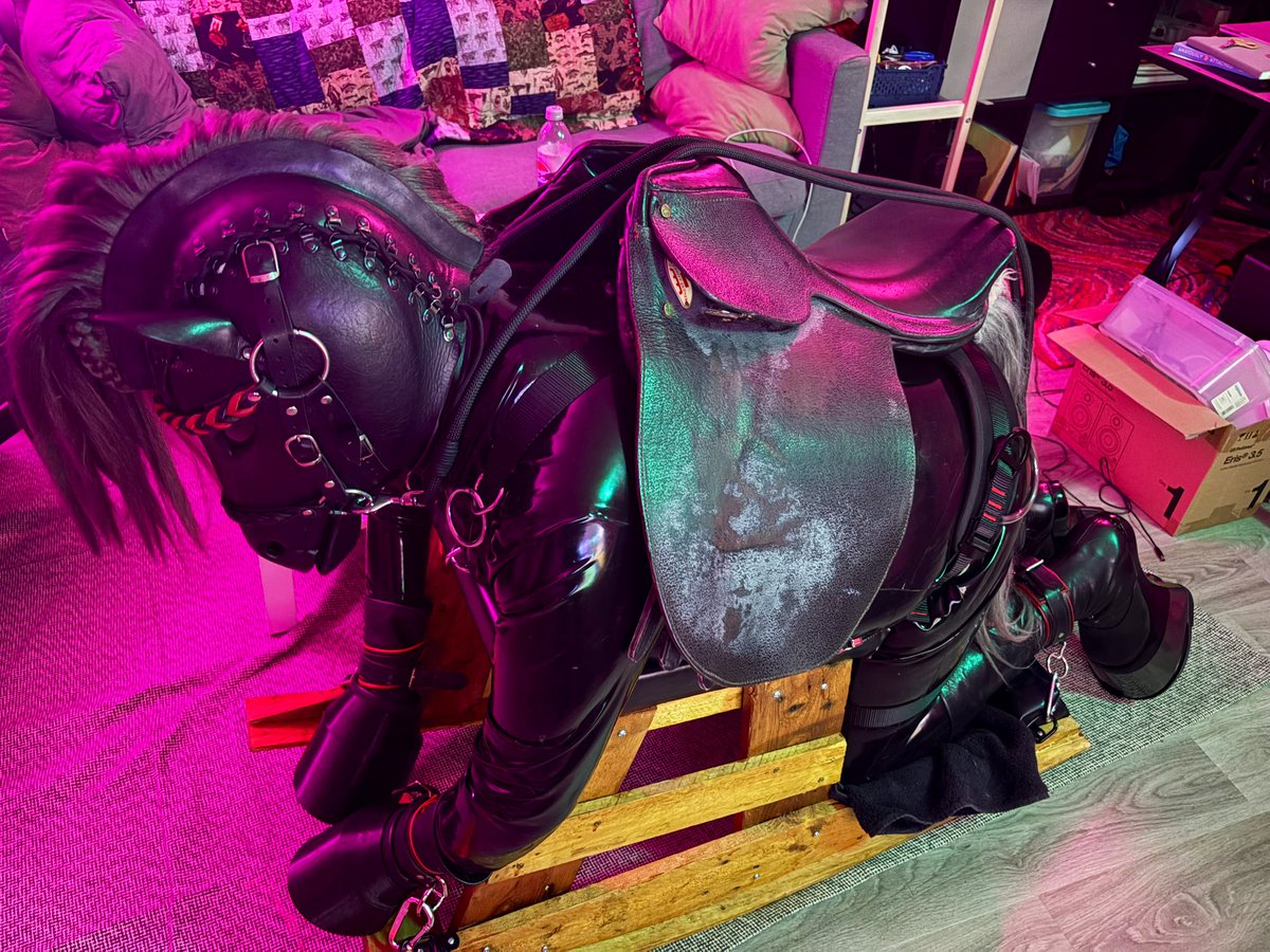 Kylian den Toirneach 🔜SoCal tweet media