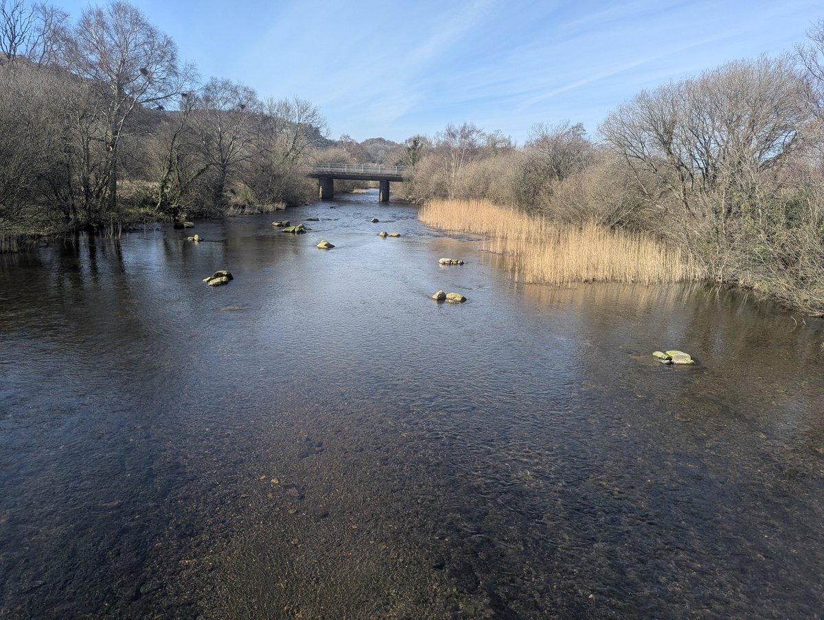 Michael Williams (Mikey) tweet media