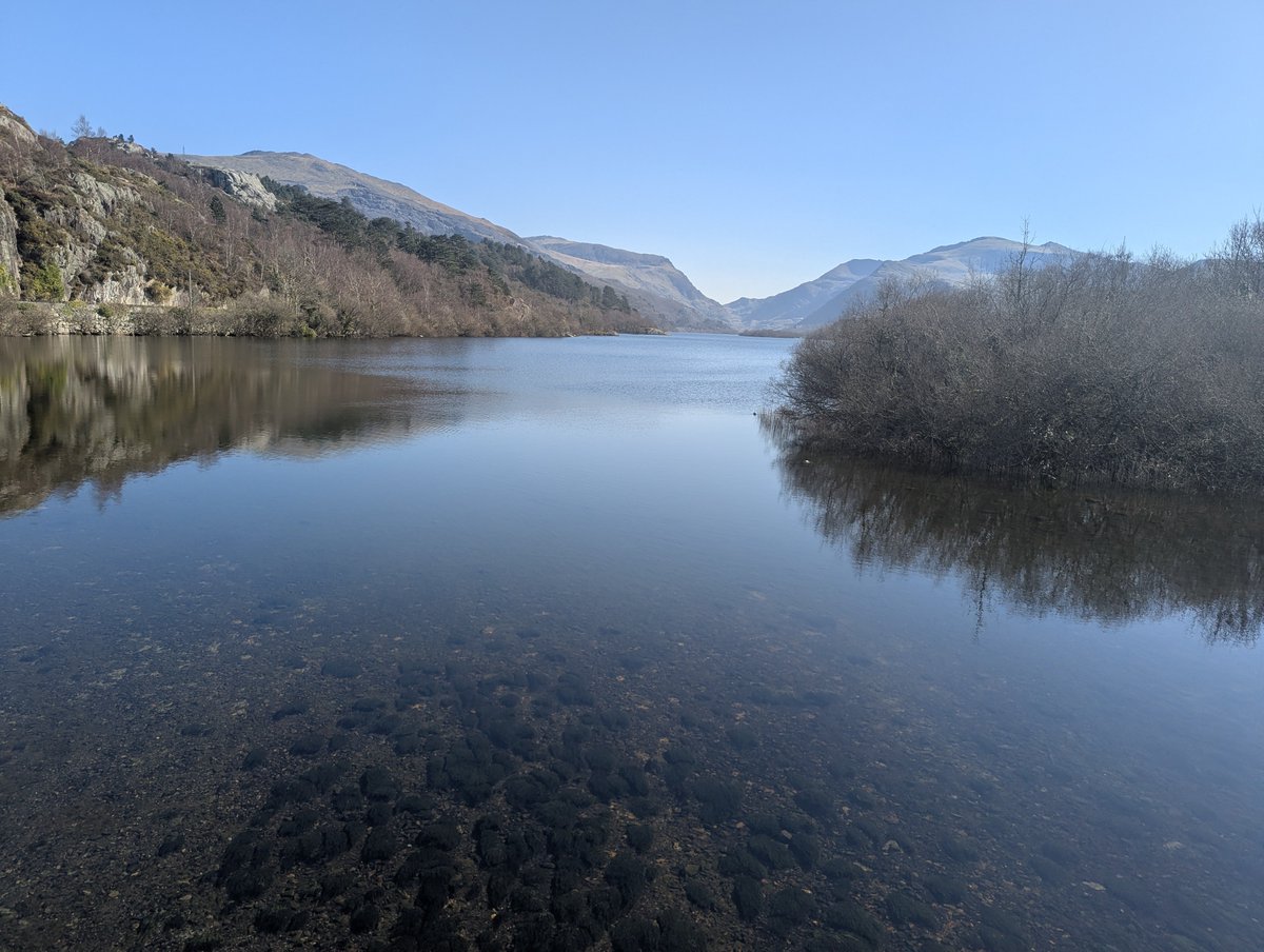 Michael Williams (Mikey) tweet media