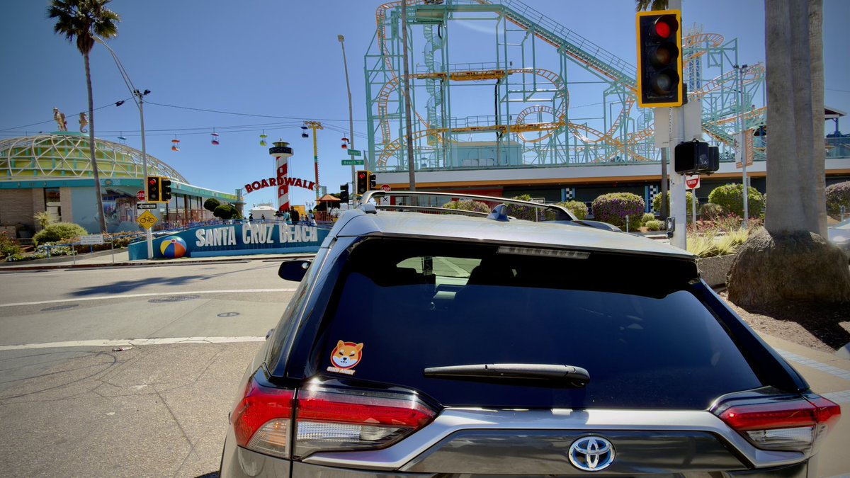 dhel.SHIB l SHIB.io 🐕💨 tweet media