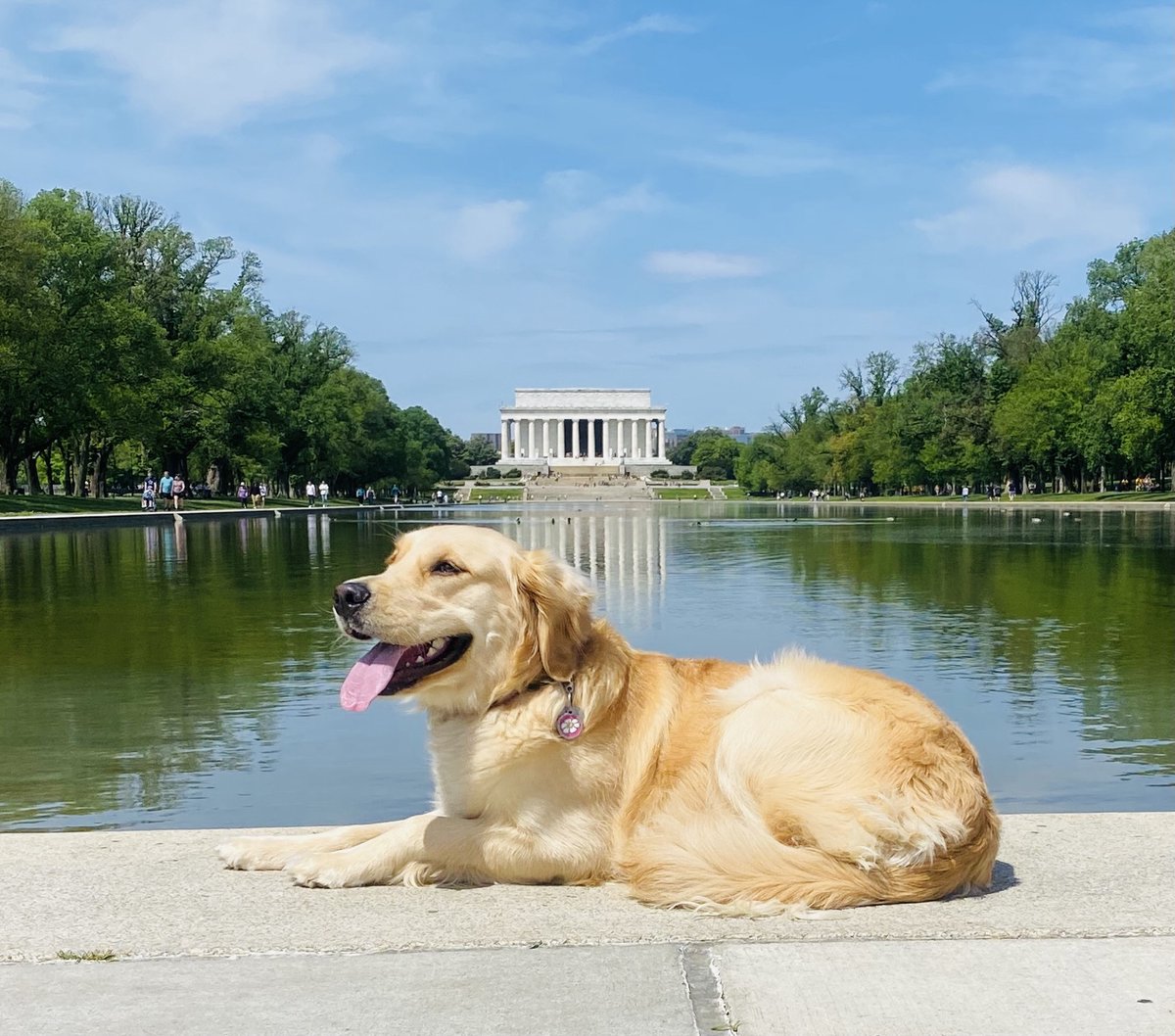 Mike Pompeo tweet media