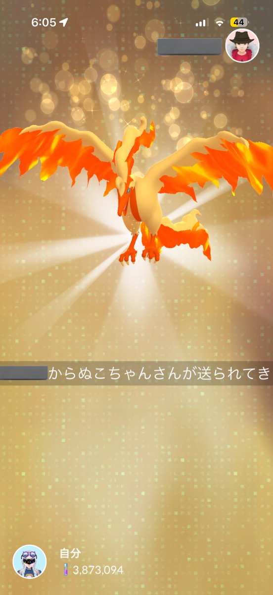 ぬこちゃん tweet media