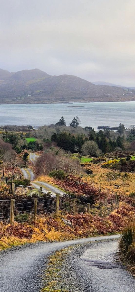 This is Ireland 🇮🇪☘️ tweet media