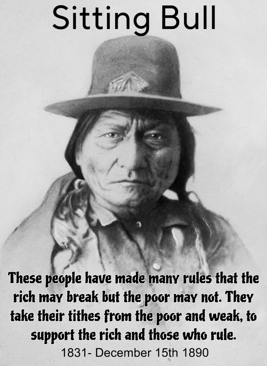 Native American All Tribes tweet media