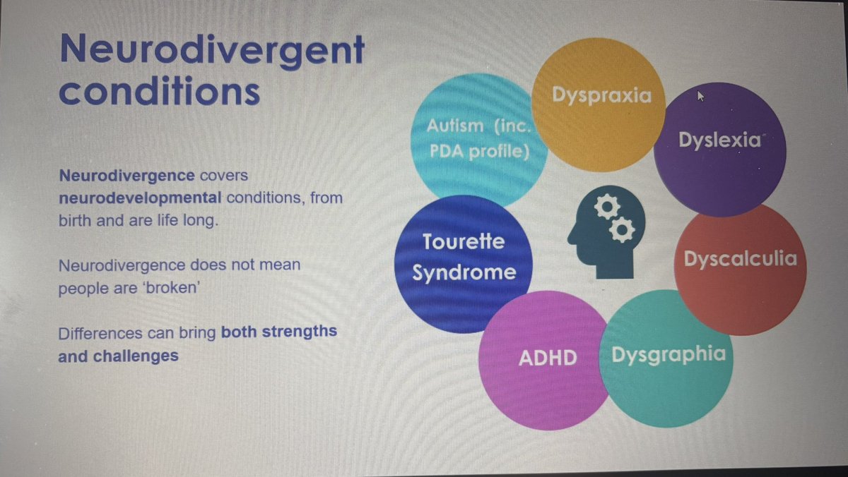 Racing staff development programme tweet media